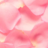 Loção Revitalizante Corporal Nativa Spa Rosé